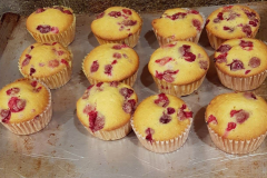 cranberrymuff